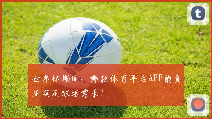 世界杯期间,哪款体育平台APP能真正满足球迷需求?