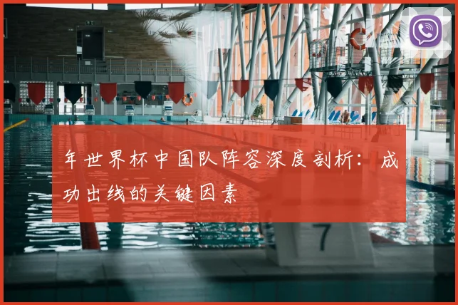 年世界杯中国队阵容深度剖析:成功出线的关键因素
